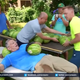 Modern-day samurai defeats 26 watermelons in glorious combat